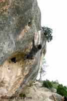 Escalada en Pe�a Rubia - Solete d�ndolo todo: Hubo que animarlo pero al final se decidi� a darlo todo. �nimo Solete