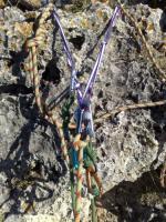 Escalada en Bu�ol Sierra de Malacara - Reuni�n: Reuni�n montada en el ultimo largo,con una cinta de dinema 
