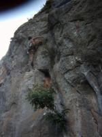 Pata de pollo: Escalada en Castellet de Polop - Pata de pollo:
