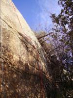 Escalada en Castillo de Bayuelas - piel de serpiente: 