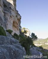 Gat reggae 6c: Un desconocido dandole al gat reggae.. Escalada en Siurana, sector Can Melafots - Gat reggae 6c: Un desconocido dandole al gat reggae..