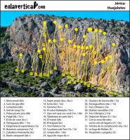 Sector Huajalotes: Escalada en Jérica - Sector Huajalotes: