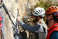 Metiendo parabolt: Martilleando para meter el parabolt Escalada en Puig Campana - Metiendo parabolt: Martilleando para meter el parabolt