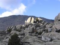 Punta Bífida 2: Escalada en Valdemanco - Punta Bífida 2: