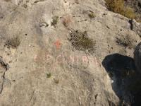 marca principio de vía: Escalada en Puig Campana - marca principio de vía: