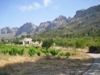 Escalada en B�rnia - Cresta: Cresta desde Cases de B�rnia
