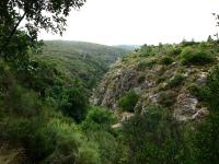 Escalada en Bu�ol Sierra de Malacara - Verde, verde...: Vista desde el sector Puente Natural