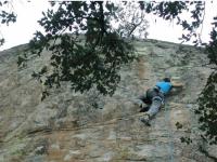Escalada en Castillo de Bayuelas - Arroz punk (7a): 