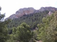 forada: Escalada en La Foradà - forada: