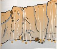 Escalada en Valeria - Hoz del r�o Gritos - Sector Chopera Sur (central): 