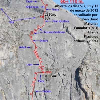 Pequeño desastre animal