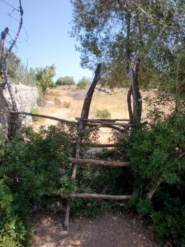 Escalera de acceso - Estos pelda�os hechos con ramas facilitan y se�alizan el acceso al camino de aproximaci�n a la cala Magraner. Tras cruzarla, s�lo hay que seguir el camino y las flechas rojas hasta llegar a la cala.