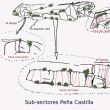 Sub- Sectores PeÃ±a Castilla - 